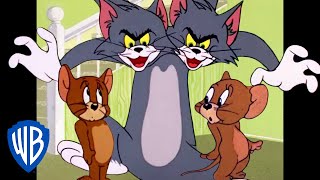 Tom y Jerry en Latino  Amigos para siempre  WB Kids [upl. by Ribal]