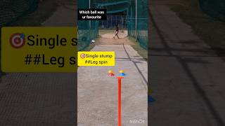 Single stump🎯 legspinspot🎯drillcricket ytshorts trendingshorts cricketshorts viral✅🆕🔥🇮🇳 [upl. by Hirschfeld]