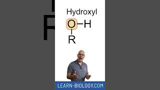 Functional Groups 1 Introduction and Hydroxyl apbiology functionalgroups [upl. by Anerhs]