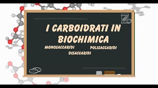 Le biomolecole i carboidrati [upl. by Stanhope]