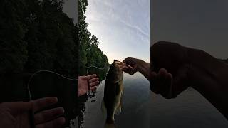 Use this rig to catch more bass fishing bassfishing [upl. by Etnovert321]