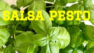 🇪🇸 Salsa pesto casera para muchos platos cetogenicos [upl. by Francklin]