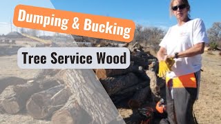 Unloading and Bucking Tree Service Wood [upl. by Diarmid418]