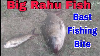 Big Rahu Best float fishing technique rahufishing fishinglife fish fishing live food [upl. by Lowery]