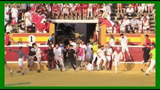 TUDELA  NAVARRA  MATINAL VACAS EN PLAZA MARTES 25 JULIO 2023  GANADHNOSGANUZA [upl. by Chita]