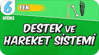 Destek ve Hareket Sistemi 📗 6FEN2 2025 [upl. by Ted404]