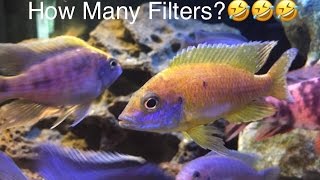 Overfiltration Running Multiple Filters on African Cichlid Tanks [upl. by Anav887]