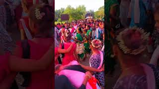 🦋new update tarpa  🌱tarpa adivasi music  tarpa dance new [upl. by Enilamme]