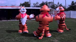 Tigre disfraz o botarga inflable [upl. by Daren988]