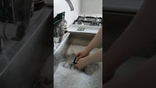 BISSELL® CrossWave® Cordless Max  How To Clean Your CrossWave® Max Filters [upl. by Ettolrahs]