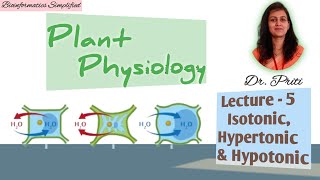 Plant Physiology I Lecture 5 Hypertonic Hypotonic amp Isotonic solutions I Bioinformatics Simplified [upl. by Ojytteb]