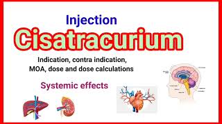 Inj Cisatracurium detail presentation anaesthesiawithbabar2576 [upl. by Aicitan]