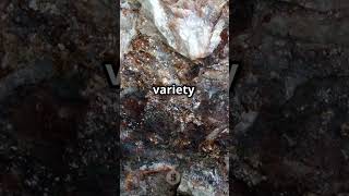 Nepheline syenite  Please Subscribe geology history facts science foryou foryoupage shorts [upl. by Humo142]