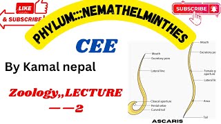 Phylum nemathelmintheslecture2Cee zoology all lectures with notes [upl. by Sandy]