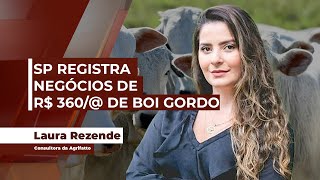 Mercado doi boi já registra negócios pontuais de R 360 por arroba e segue reagindo à força [upl. by Bourn858]