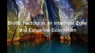 Biotic Factors in an Intertidal Zone and Estuarine Ecosystem [upl. by Hank]