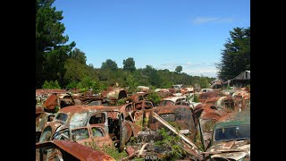 Horopito motor wreckers walk through  1 May 2023 [upl. by Jariv215]