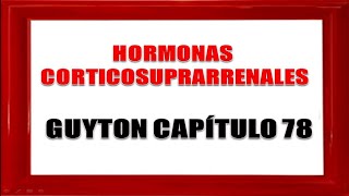 Hormonas corticosuprarrenales PARTE 1  Guyton capitulo 78 [upl. by Enyleuqcaj]