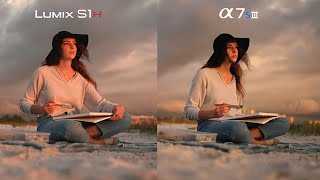 Sony A7Siii vs Panasonic LUMIX S1H  Comparison Footage [upl. by Ahcropal]