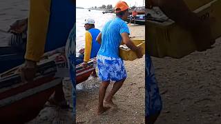 Quando chega o pescado por aqui quem dá mais leva shortvideo camocim ceará fishermam pescaria [upl. by Oker]