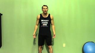 Punch Outs  HASfit Cardio Exercises  Cardiovascular Aerobic Exercise [upl. by Stoops]