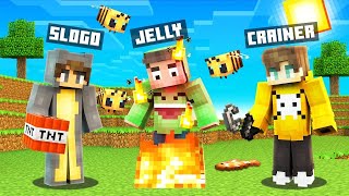 MINECRAFT BEETOWN The MOVIE [upl. by Lucic]