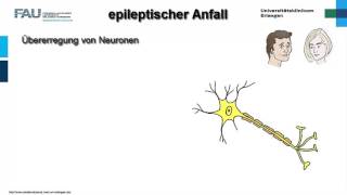 Neuropathologie ─ Epilepsie [upl. by Allenaj]