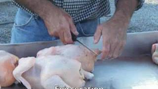 Poultry Processing Part 2 [upl. by Earley]