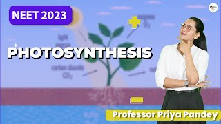 Photosynthesis Class 11  NEET 2023  Priya Pandey Mam  photosynthesis [upl. by Anaerol]