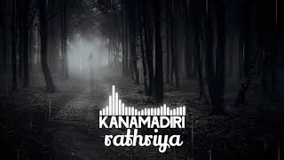 ☠Kanamadiri rathriya☠them song 💥ℜ𝔈𝔐ℑ𝔛💥 [upl. by Eiddet]