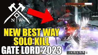 NEW WORLD 2023  NEW BEST WAY to KILL SOLO Caminus Gate Lord Mirepaw Overseer Levy [upl. by Leifer]