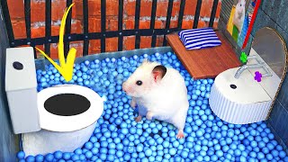 Hamsters Incredible Skills Help It Escape Prison Maze 🐹 DIY Hamster Maze [upl. by Kubis]