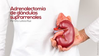 Adrenalectomía de glándulas suprarrenales por Dra Leticia Ruíz [upl. by Atiugal3]