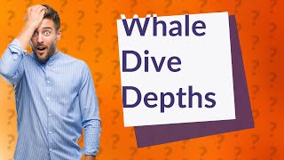 How deep do whales dive [upl. by Strepphon]