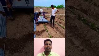 🤔மல்சிங் சீட் இப்படி போடலாமா⁉️  Mulching Sheet 💯 trending mulching sheet statisfying shorts [upl. by Hairabez]