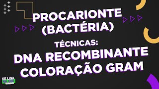 Procarionte Bactéria  DNA Recombinante e Coloração Gram  Prof Paulada [upl. by Eramal577]