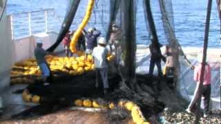 Purse Seine Fishing [upl. by Beshore]