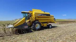 New Holland TX66 Sunflowers Harvest [upl. by Aiki299]