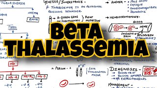 Beta thalassemia in hindi  Thalassemia part2  Eduluminescence [upl. by Fletch564]