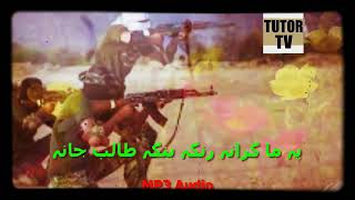 rnga bnga taleb pashto nazam naat tarana nazmona natona song nasheed [upl. by Vaas]