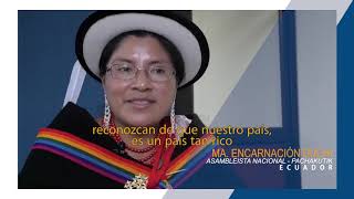 Diversidad étnica y cultural en América Latina [upl. by Nnairrek]