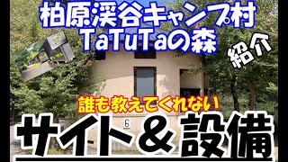 柏原渓谷キャンプ村TaTuTaの森のサイトと設備を音声付きで徹底解説！コテージは温泉付きのキャンプ場四国香川県綾歌郡キャンプ場 [upl. by Wey]