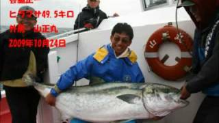 巨大ヒラマサ495kg Kingfish [upl. by Airretnahs]