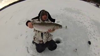 Ice Fishing Rainbow and Lake Trout [upl. by Wiburg545]