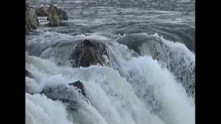 Dhuandhar Waterfall Bhedaghat Jabalpur Madhya Pradesh India  News Station [upl. by Atil942]