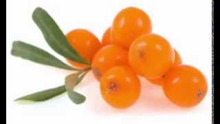 Sea Buckthorn Berry Health Benefits [upl. by Furtek]