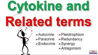 Cytokines and related terms [upl. by Neeleuqcaj]