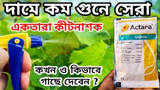 how to use actara insecticide for plant একতারা কীটনাশক গাছে ব্যবহারের সঠিক নিয়ম জেনে নিন [upl. by Eldnek]