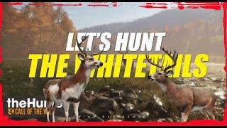 Lets Start the Great One Whitetail Grind  theHunter Call of the Wild  short stream [upl. by Airbas]