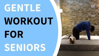 FollowAlong Mobility Workout for Seniors [upl. by Mattie]